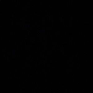 Meet your Posher, Trey